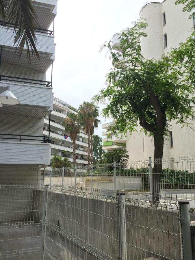 Bonito Y Acogedor Apartamento Con Fibra 萨洛 外观 照片